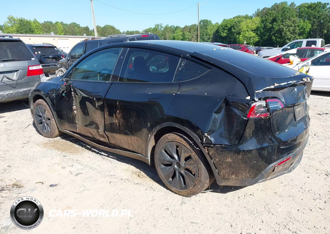 2025 Tesla Model Y Long Range Dual Motor Rear-Wheel Drive VIN:7SAYGDED4SA377551 - 3