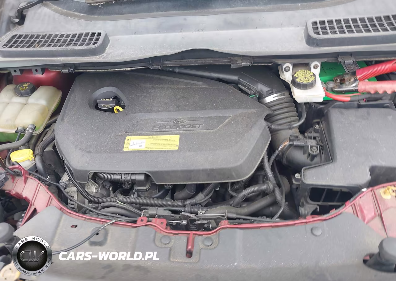2013 Ford Escape Se VIN:1FMCU0GX7DUB69821 - 10