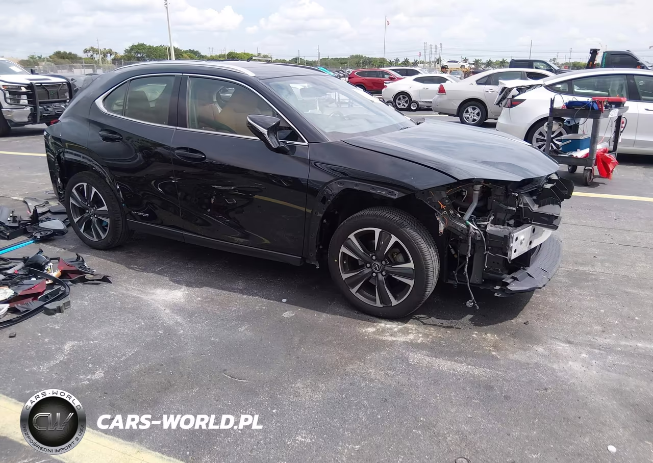 2020 Lexus Ux 250H
