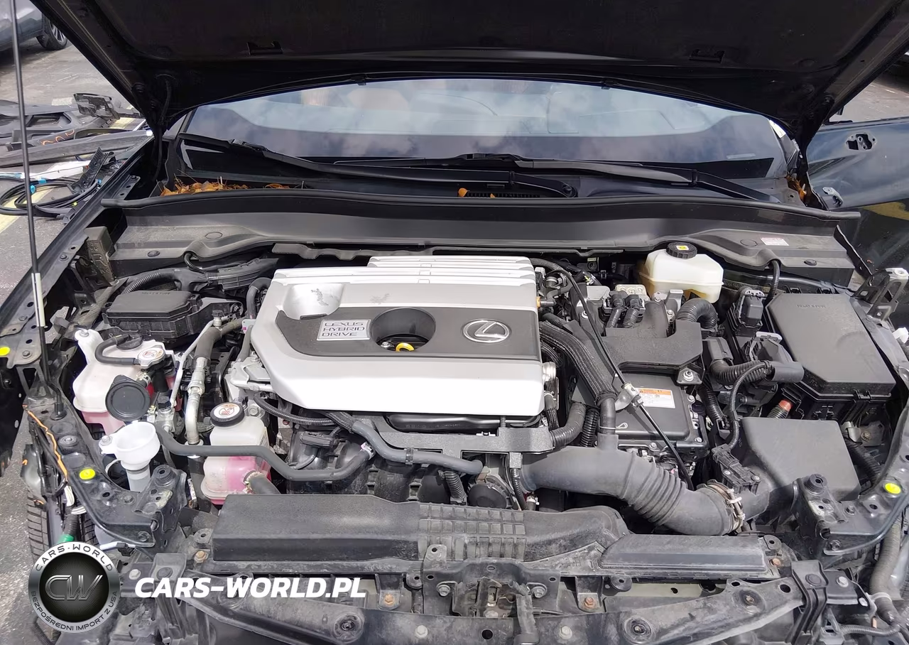2020 Lexus Ux 250H VIN:JTHP9JBH2L2027558 - 10