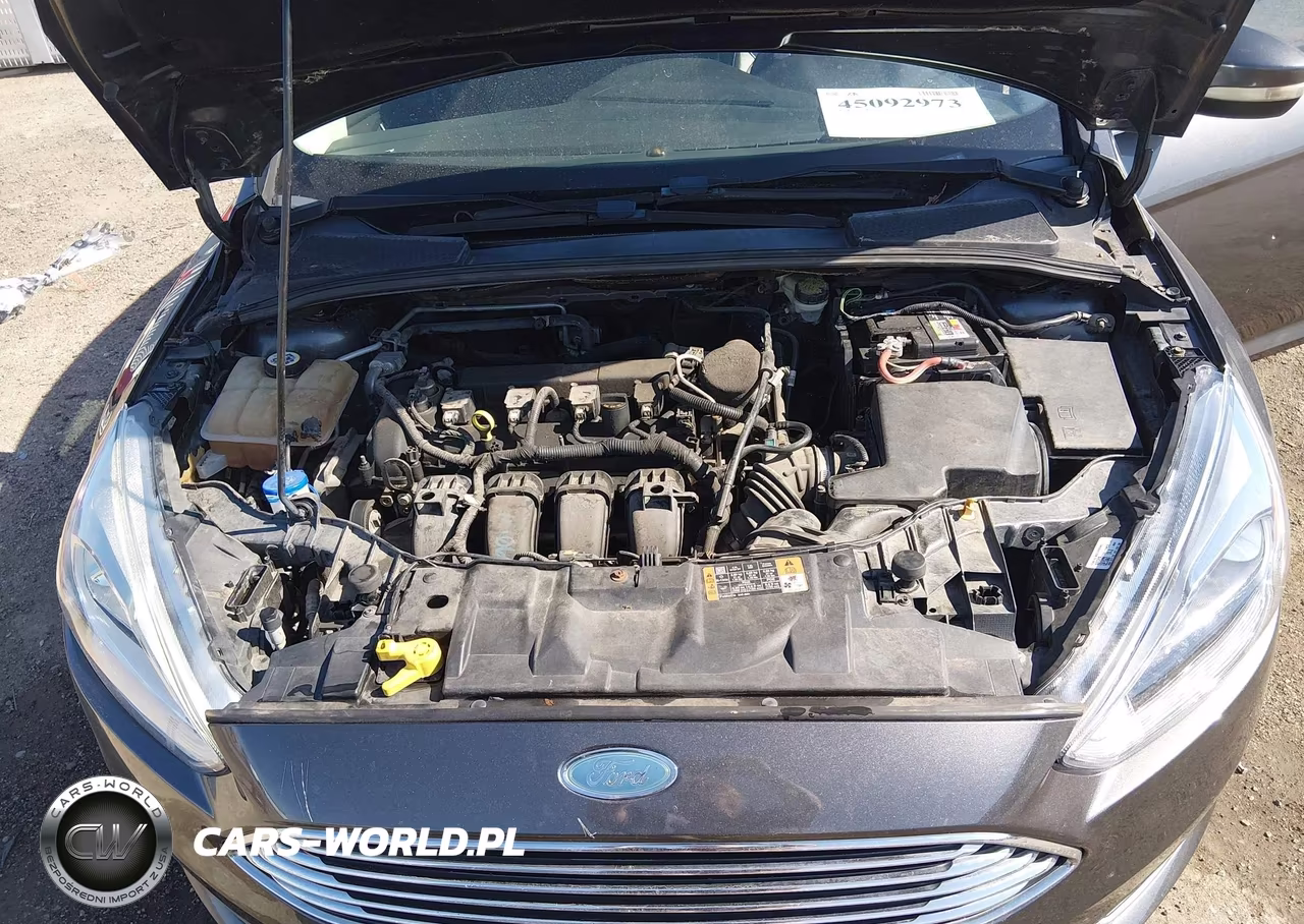 2015 Ford Focus Titanium VIN:1FADP3N21FL328257 - 10