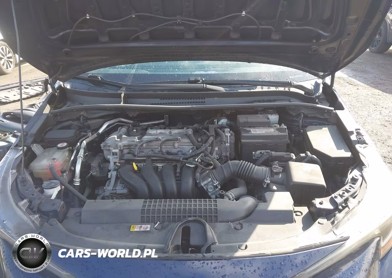 2020 Toyota Corolla Le VIN:5YFEPRAEXLP068428 - 10