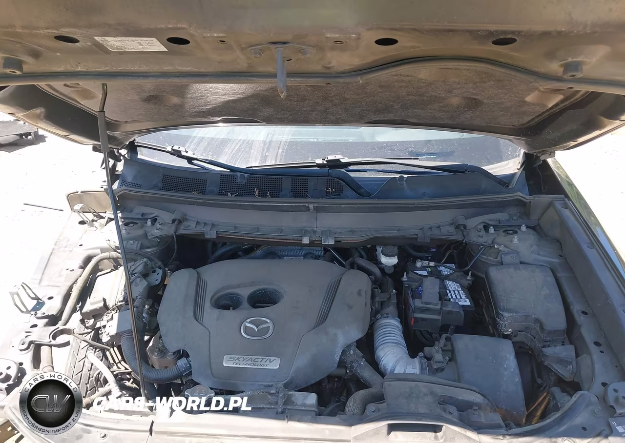 2017 Mazda Cx-9 Grand Touring VIN:JM3TCBDY6H0138547 - 10