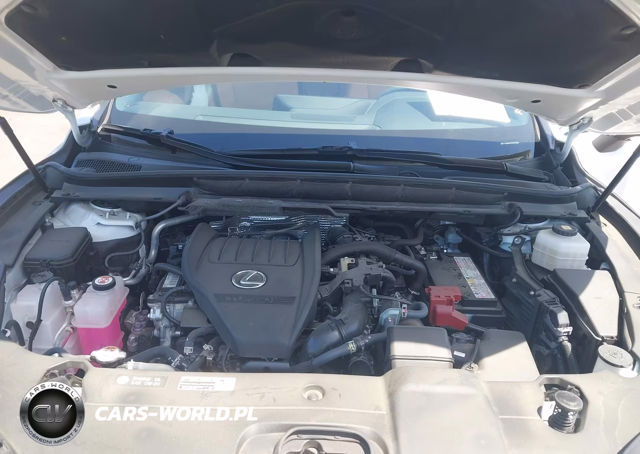 2023 Lexus Rx 350 Premium VIN:JTJCHMAA1P2010424 - 10