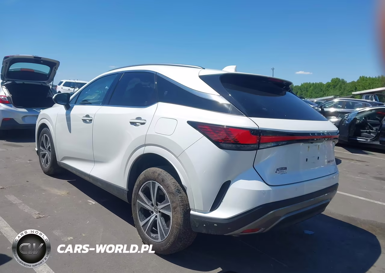2023 Lexus Rx 350 Premium VIN:JTJCHMAA1P2010424 - 3