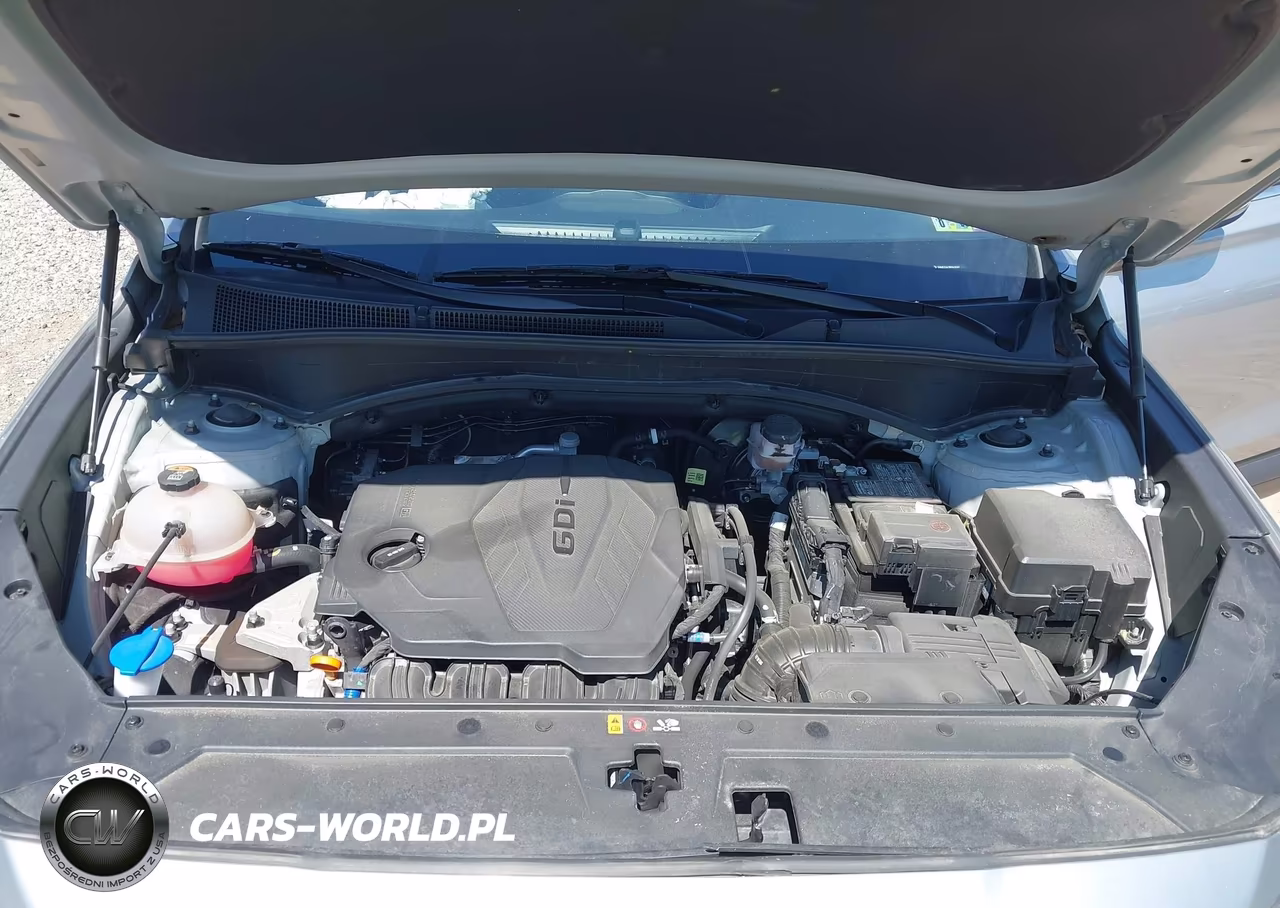 2023 Hyundai Santa Fe Sel VIN:5NMS2DAJ8PH620347 - 10