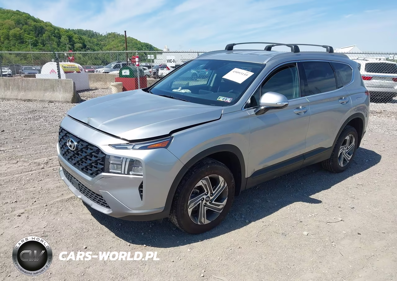 2023 Hyundai Santa Fe Sel VIN:5NMS2DAJ8PH620347 - 2
