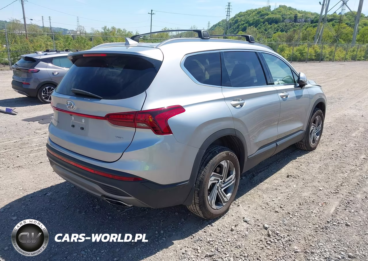 2023 Hyundai Santa Fe Sel VIN:5NMS2DAJ8PH620347 - 4