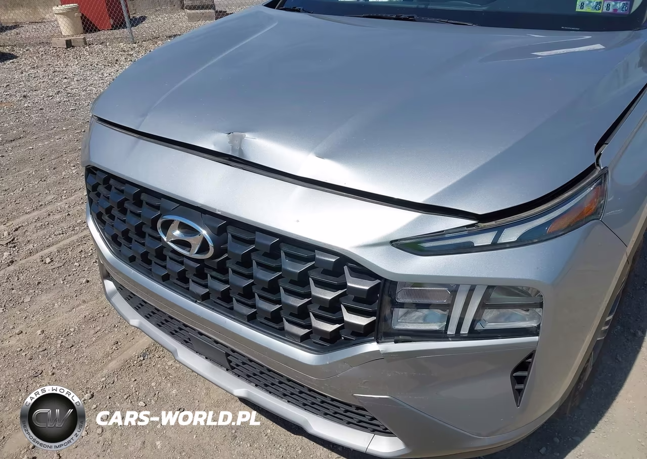 2023 Hyundai Santa Fe Sel VIN:5NMS2DAJ8PH620347 - 6