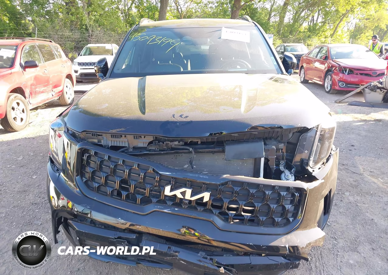 2024 Kia Telluride Sx Prestige X-Pro VIN:5XYP5DGC6RG461055 - 11