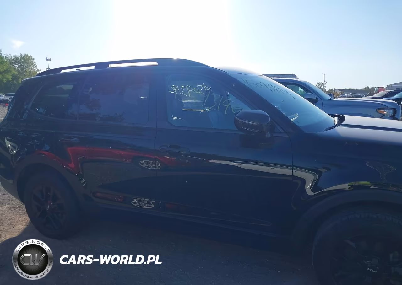 2024 Kia Telluride Sx Prestige X-Pro VIN:5XYP5DGC6RG461055 - 12