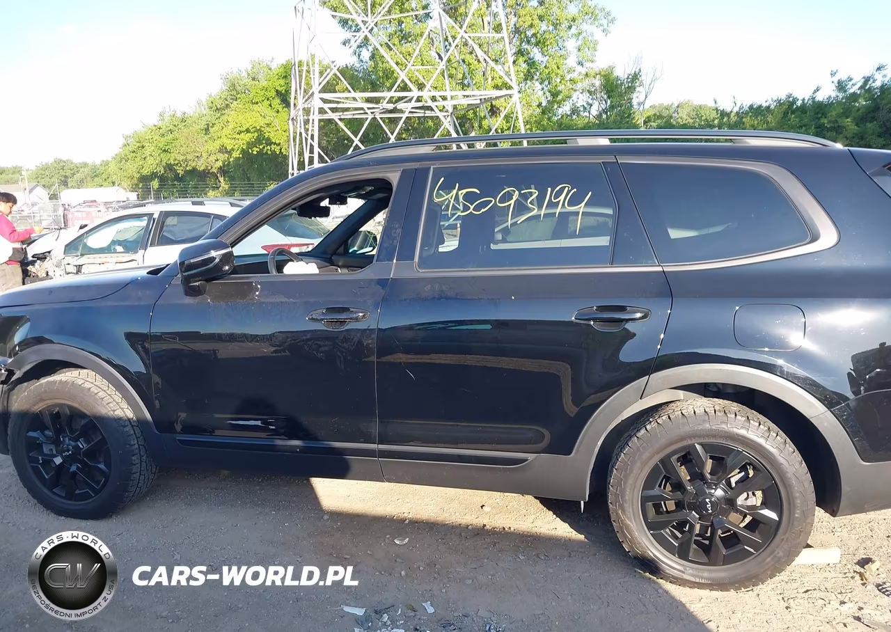 2024 Kia Telluride Sx Prestige X-Pro VIN:5XYP5DGC6RG461055 - 13