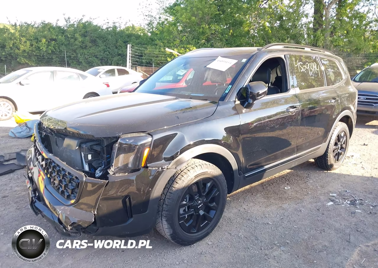 2024 Kia Telluride Sx Prestige X-Pro VIN:5XYP5DGC6RG461055 - 2