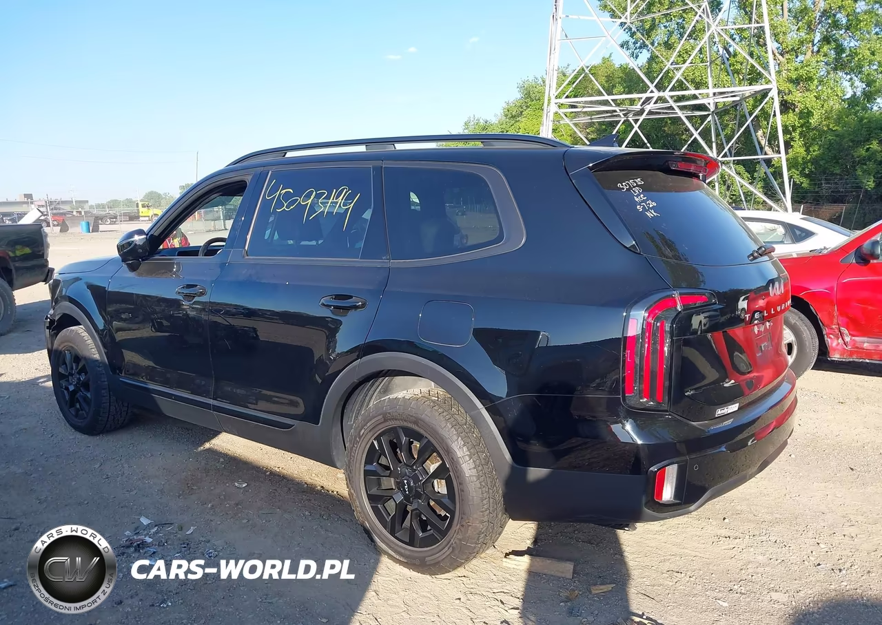 2024 Kia Telluride Sx Prestige X-Pro VIN:5XYP5DGC6RG461055 - 3
