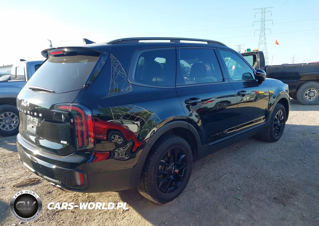2024 Kia Telluride Sx Prestige X-Pro VIN:5XYP5DGC6RG461055 - 4