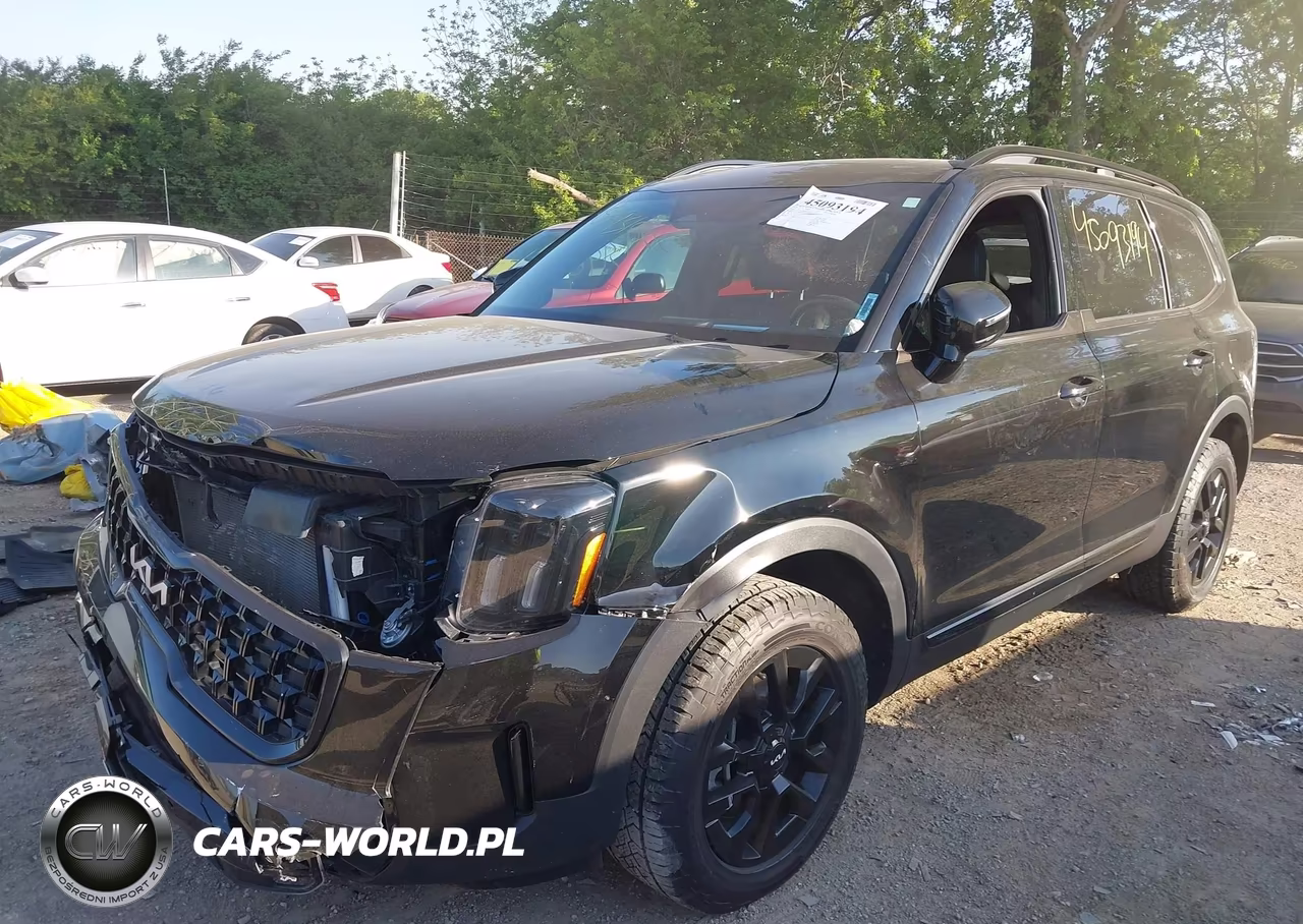 2024 Kia Telluride Sx Prestige X-Pro VIN:5XYP5DGC6RG461055 - 6