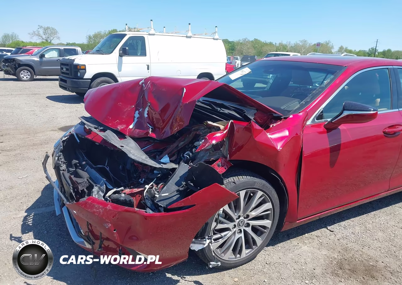 2021 Lexus Es 350 VIN:58ADZ1B11MU108004 - 6
