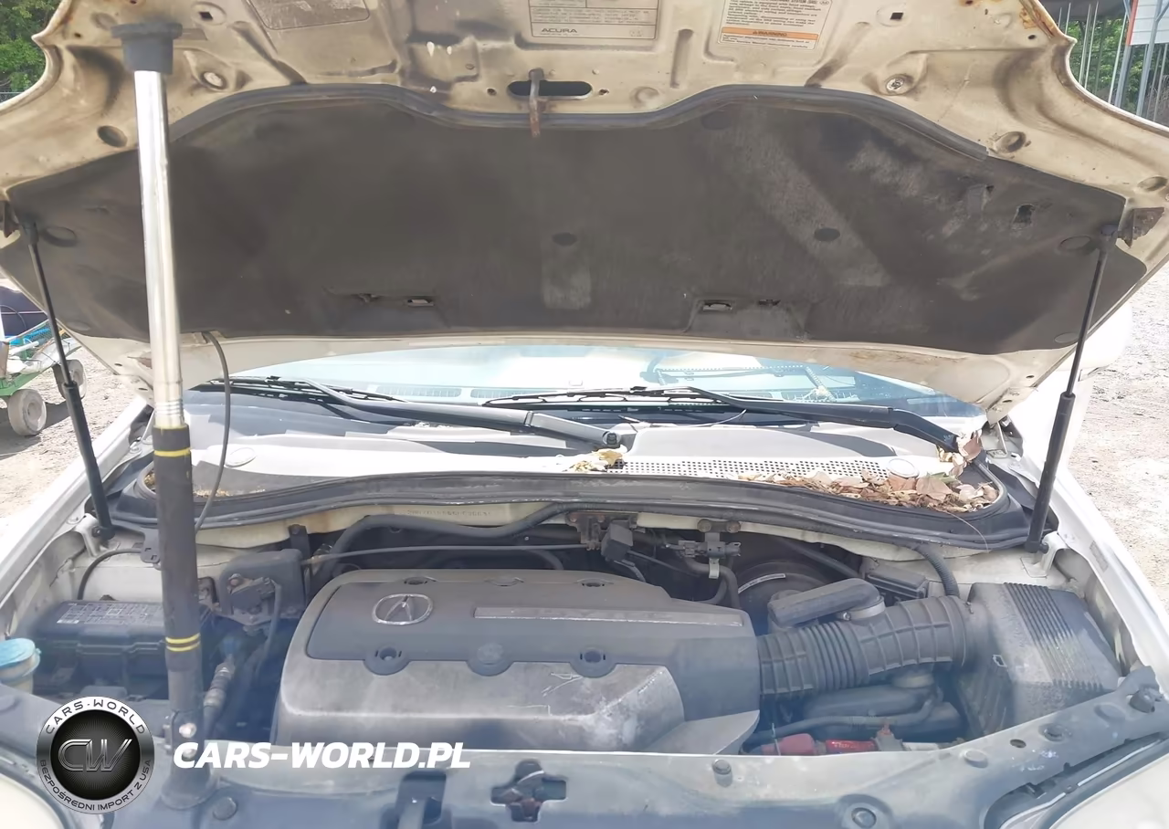 2006 Acura Mdx VIN:2HNYD18666H535631 - 10