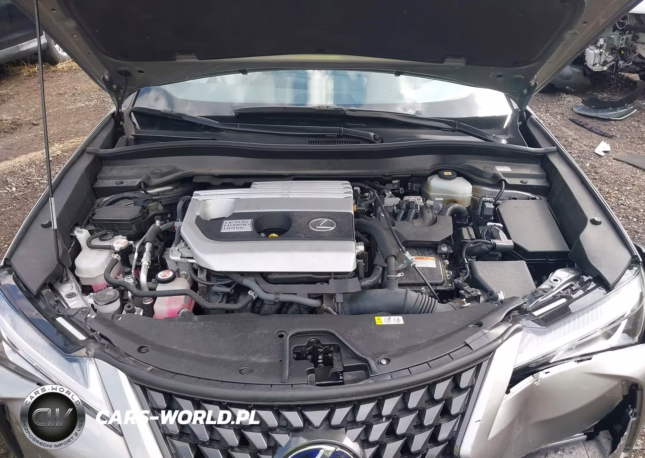 2021 Lexus Ux 250H VIN:JTHP9JBH0M2040357 - 10