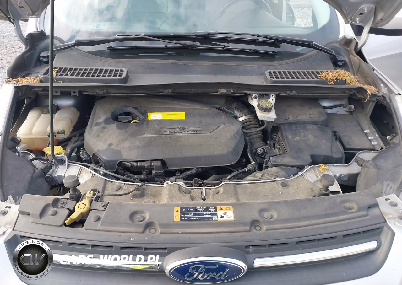 2016 Ford Escape Se VIN:1FMCU0GX1GUA72344 - 10