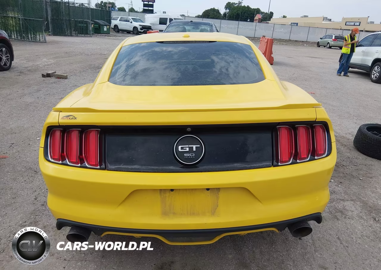 2015 Ford Mustang Gt Premium VIN:1FA6P8CF1F5400316 - 17