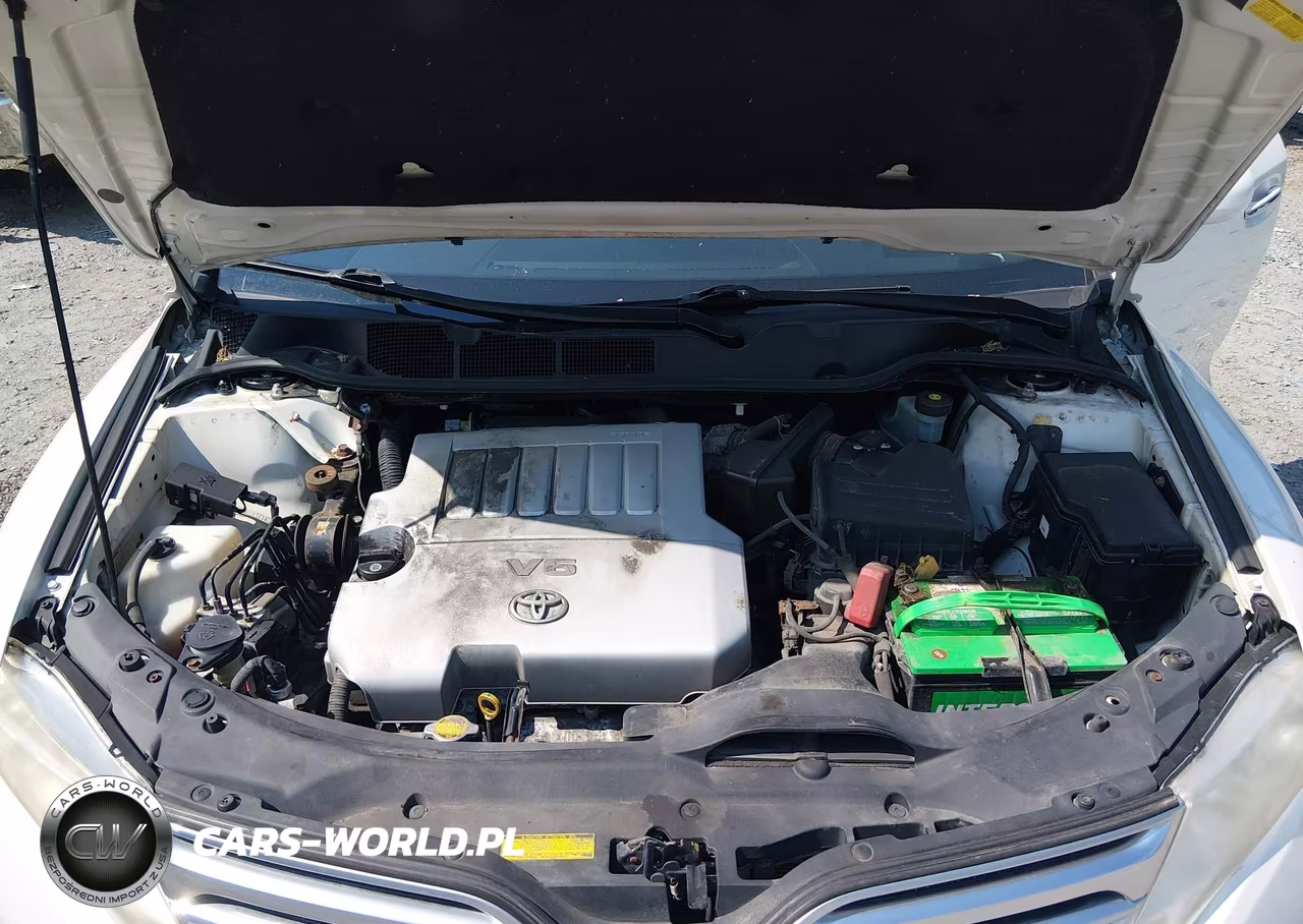 2009 Toyota Venza Base V6 VIN:4T3BK11A39U025175 - 10