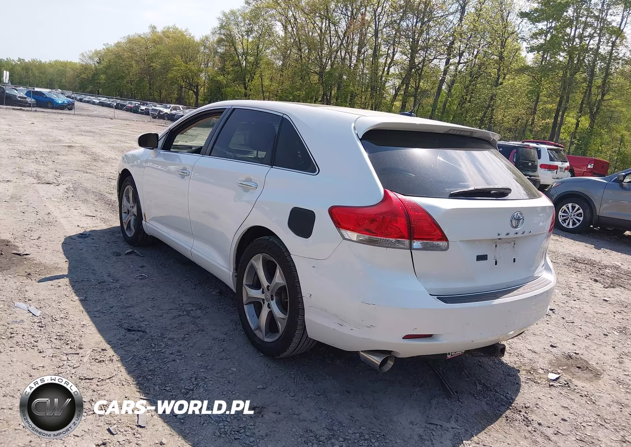 2009 Toyota Venza Base V6 VIN:4T3BK11A39U025175 - 3