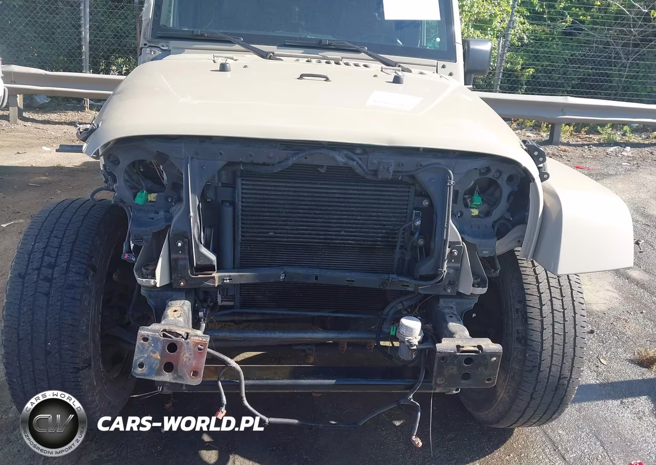 2017 Jeep Wrangler Unlimited Sahara 4X4 VIN:1C4HJWEG5HL694056 - 13
