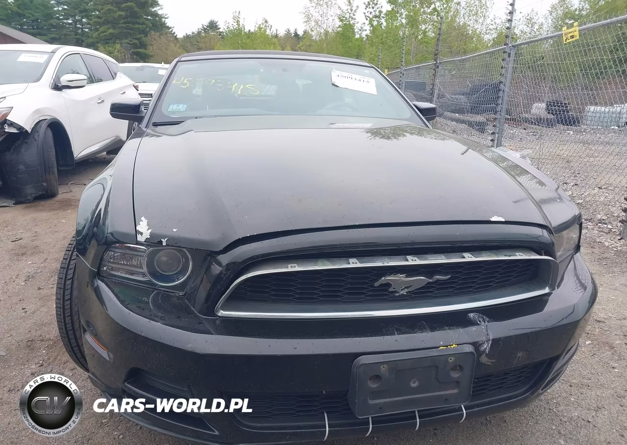 2013 Ford Mustang V6 Premium VIN:1ZVBP8EM8D5213993 - 13
