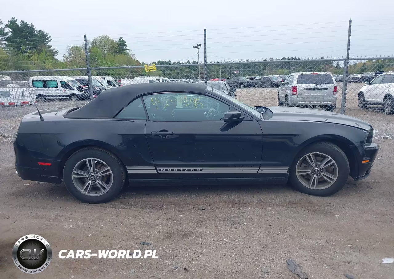 2013 Ford Mustang V6 Premium VIN:1ZVBP8EM8D5213993 - 14