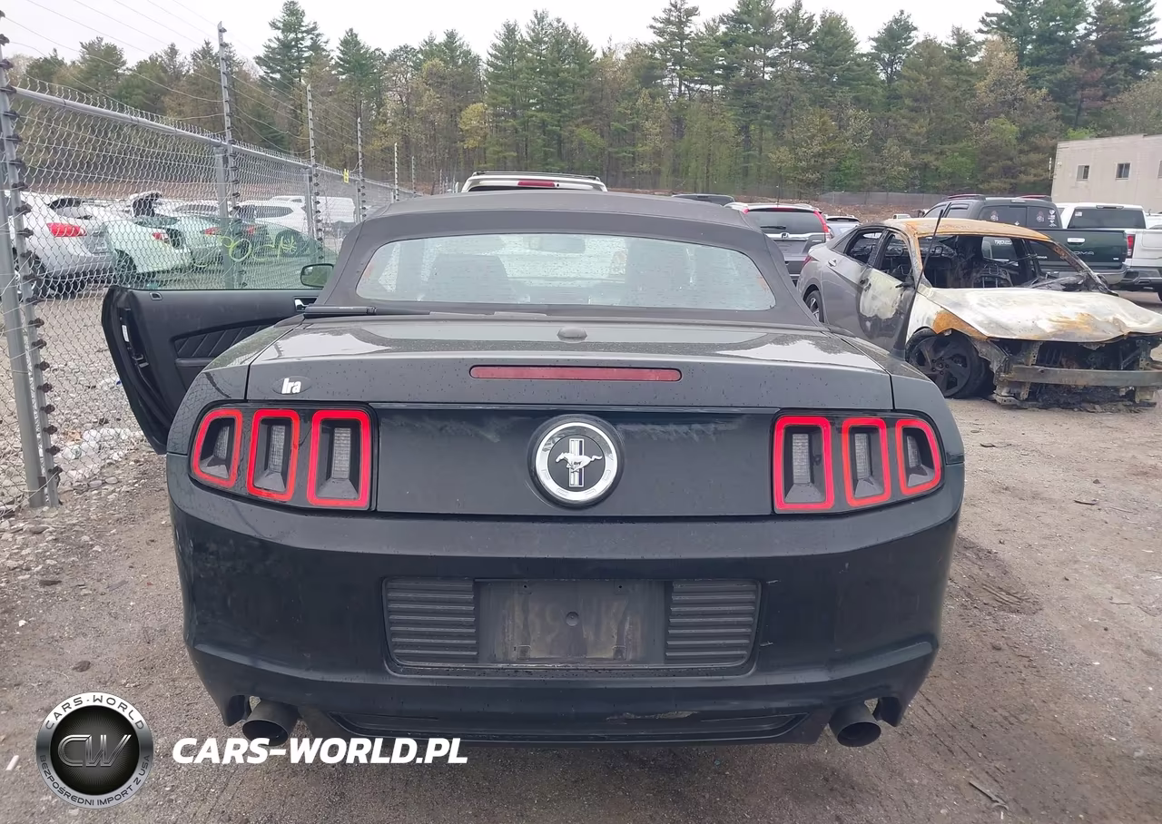 2013 Ford Mustang V6 Premium VIN:1ZVBP8EM8D5213993 - 17