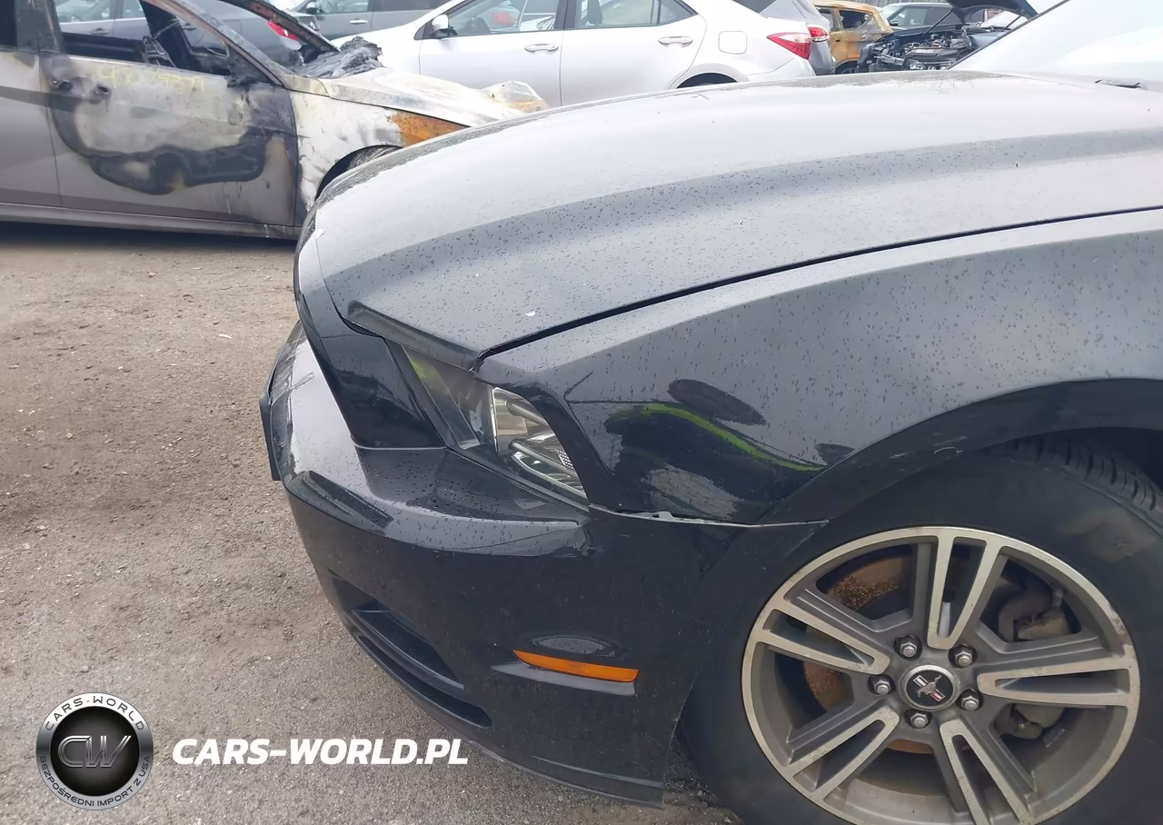 2013 Ford Mustang V6 Premium VIN:1ZVBP8EM8D5213993 - 22