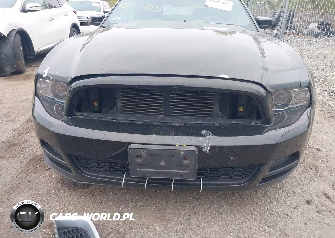 2013 Ford Mustang V6 Premium VIN:1ZVBP8EM8D5213993 - 6