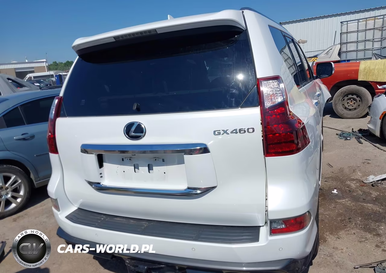 2020 Lexus Gx 460 Premium VIN:JTJAM7BX7L5256510 - 17