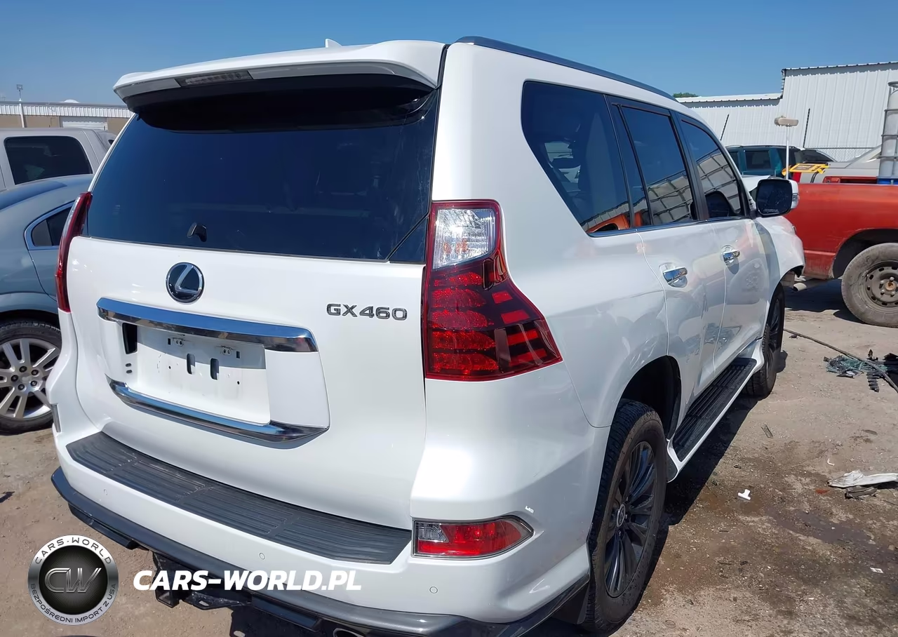 2020 Lexus Gx 460 Premium VIN:JTJAM7BX7L5256510 - 4