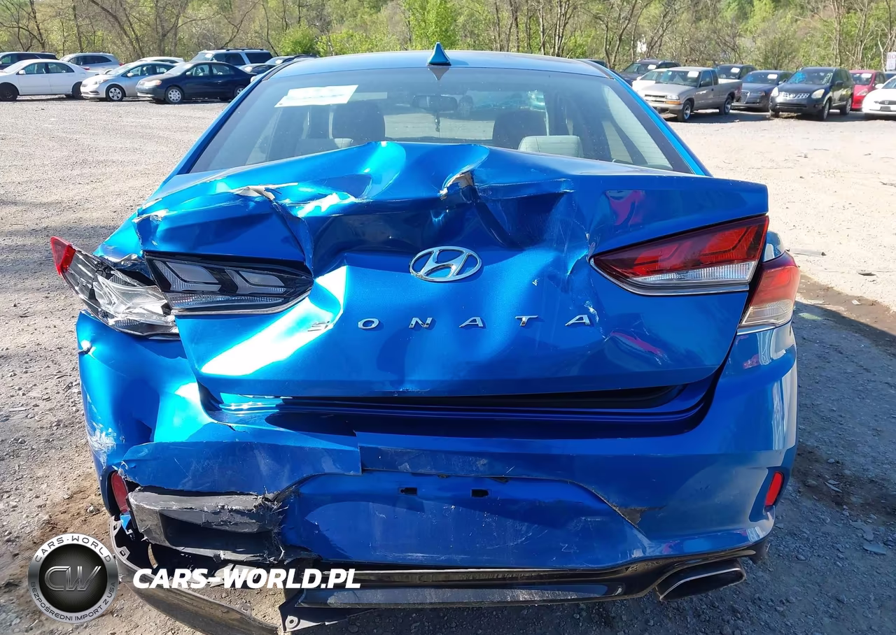 2018 Hyundai Sonata Sel VIN:5NPE34AF7JH661570 - 16
