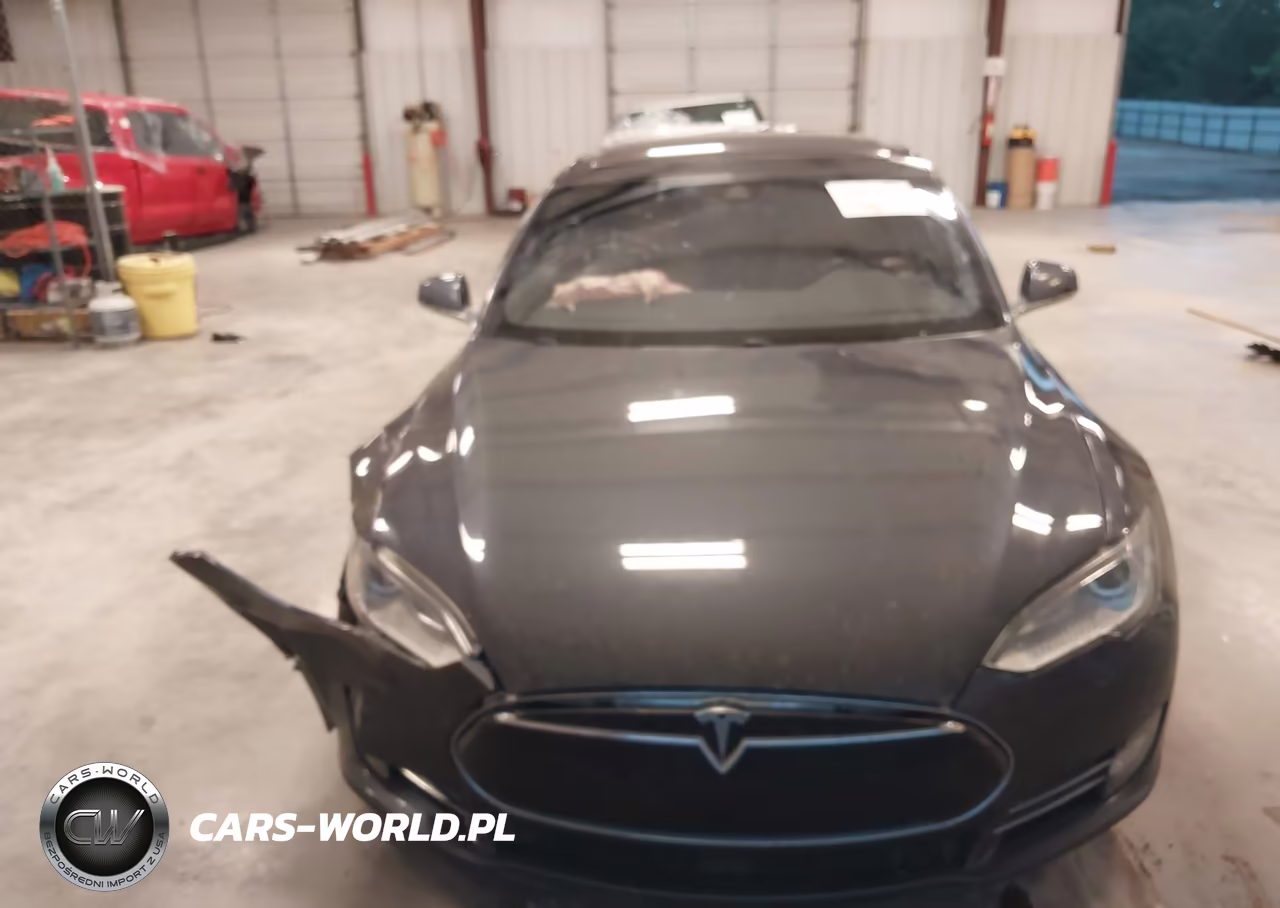 2016 Tesla Model S VIN:5YJSA1E29GF123667 - 10