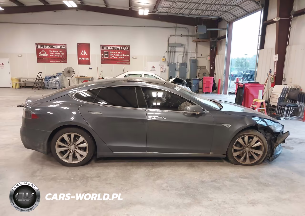 2016 Tesla Model S VIN:5YJSA1E29GF123667 - 12