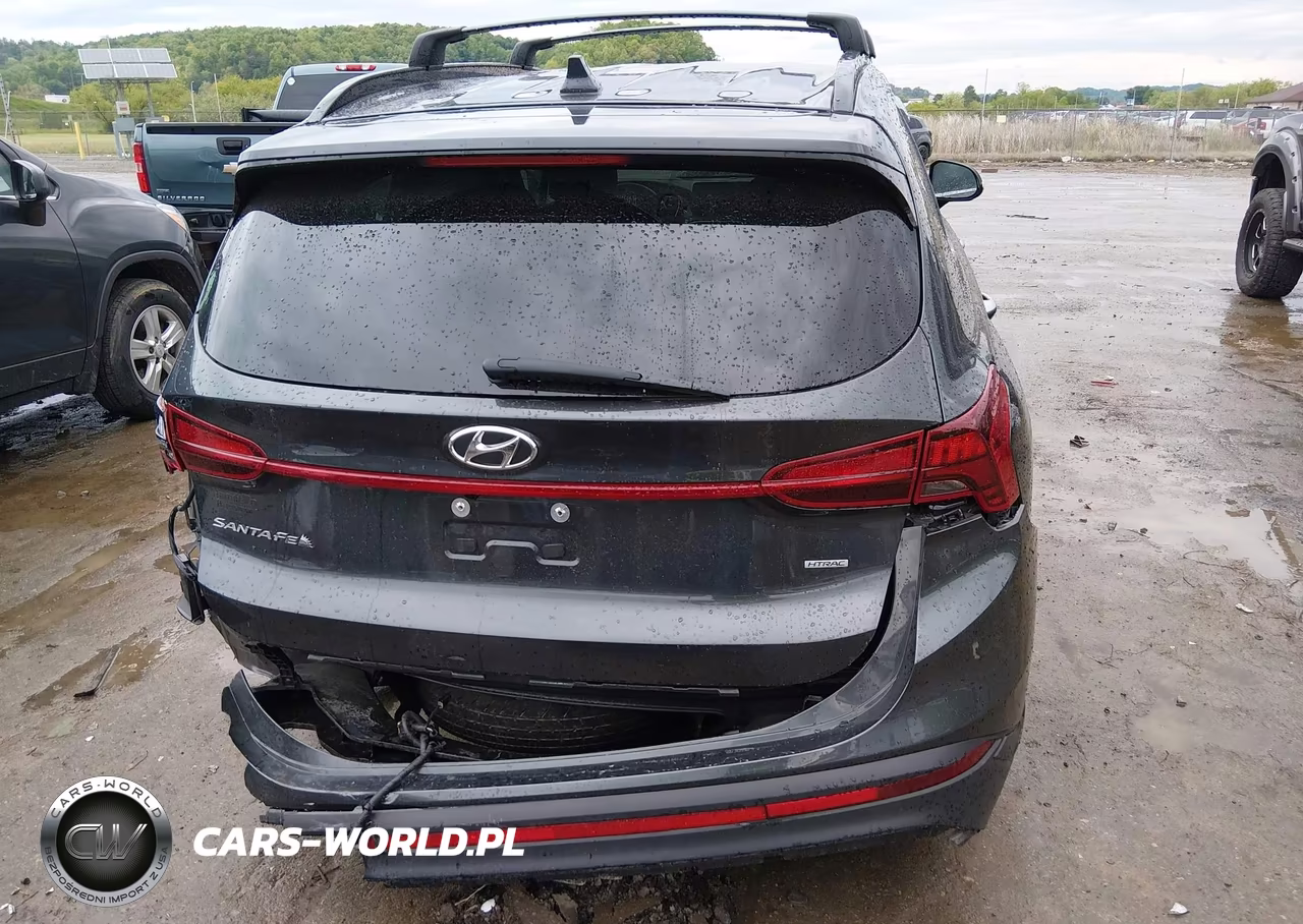 2022 Hyundai Santa Fe Xrt VIN:5NMS6DAJ6NH481045 - 17