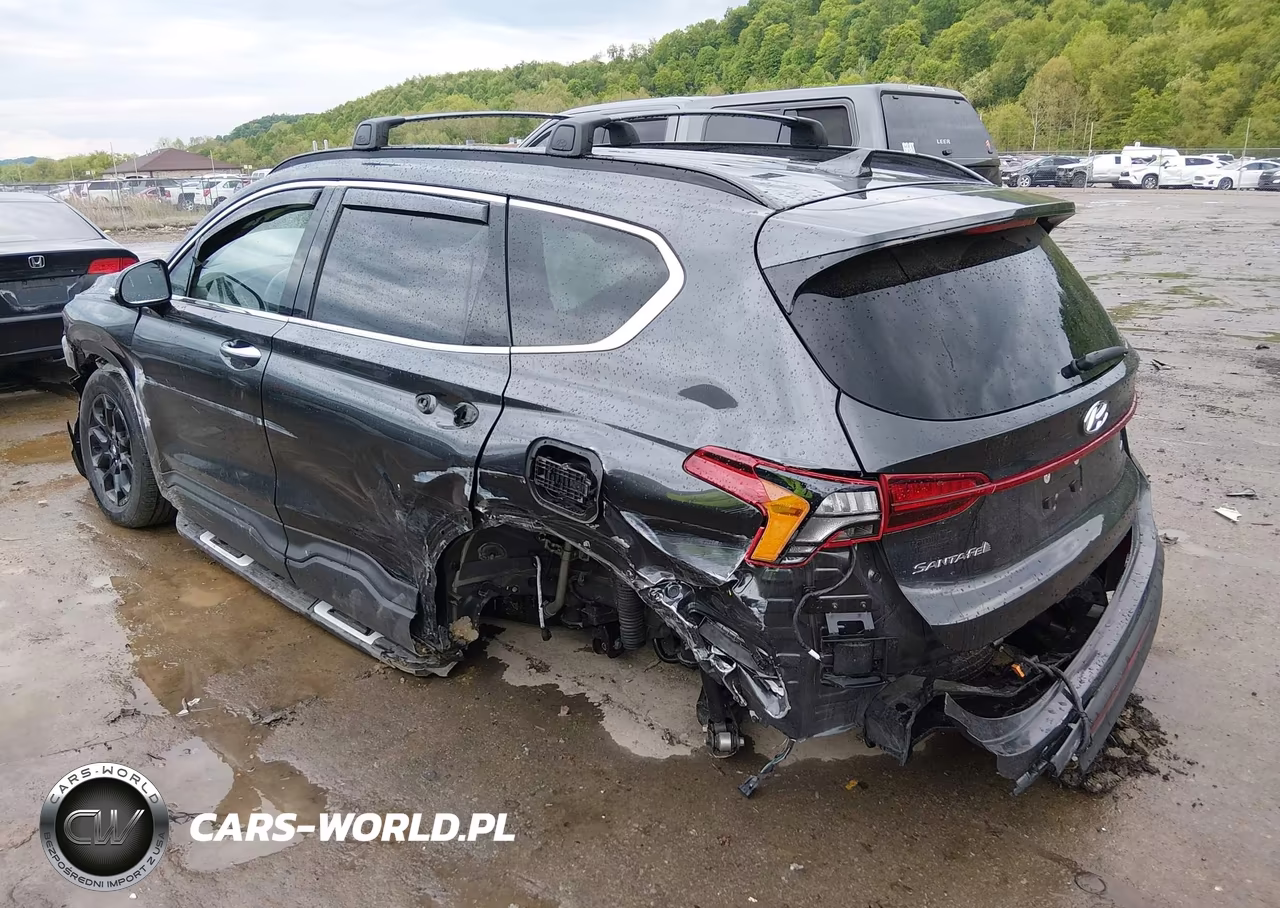2022 Hyundai Santa Fe Xrt VIN:5NMS6DAJ6NH481045 - 3