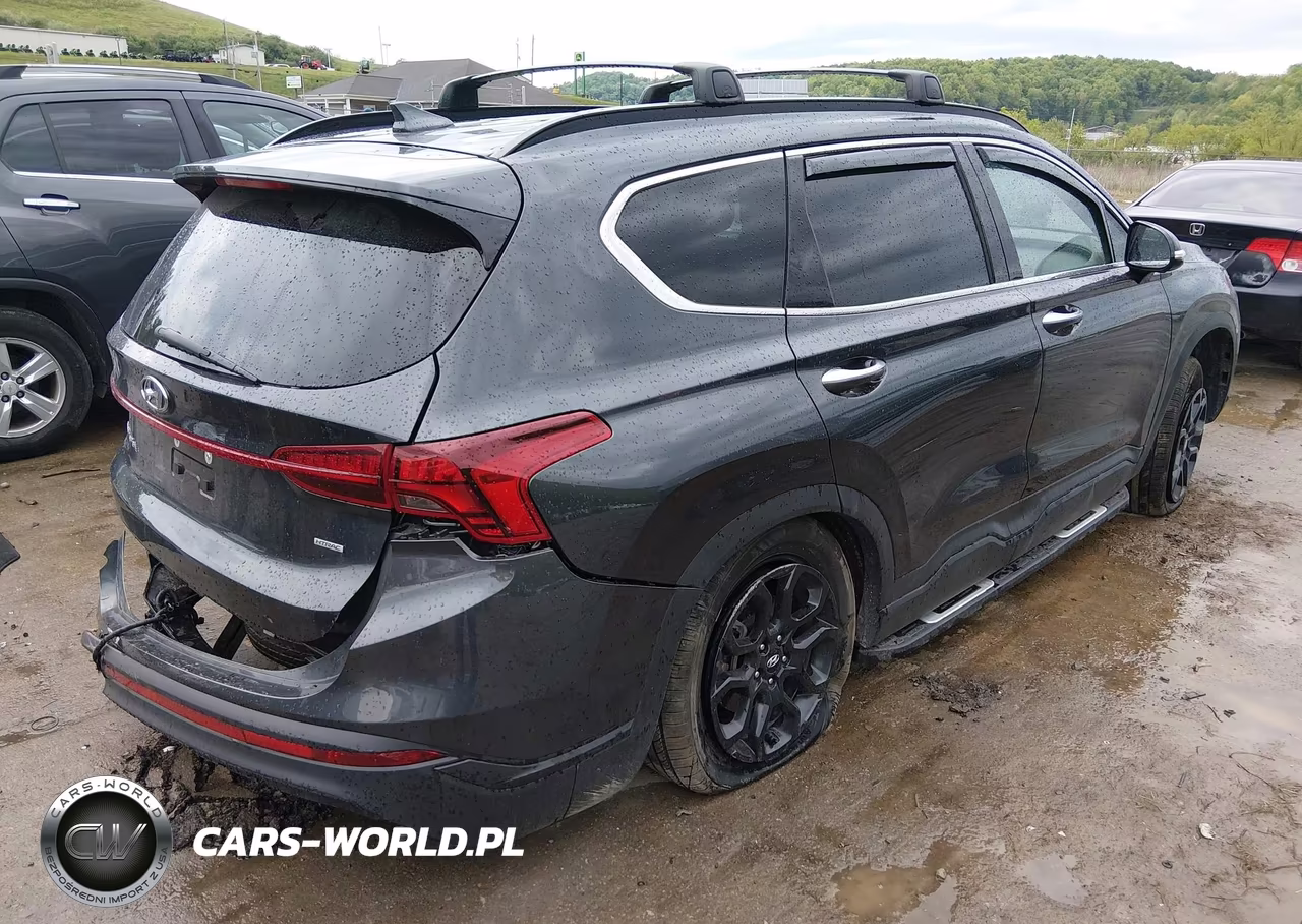 2022 Hyundai Santa Fe Xrt VIN:5NMS6DAJ6NH481045 - 4