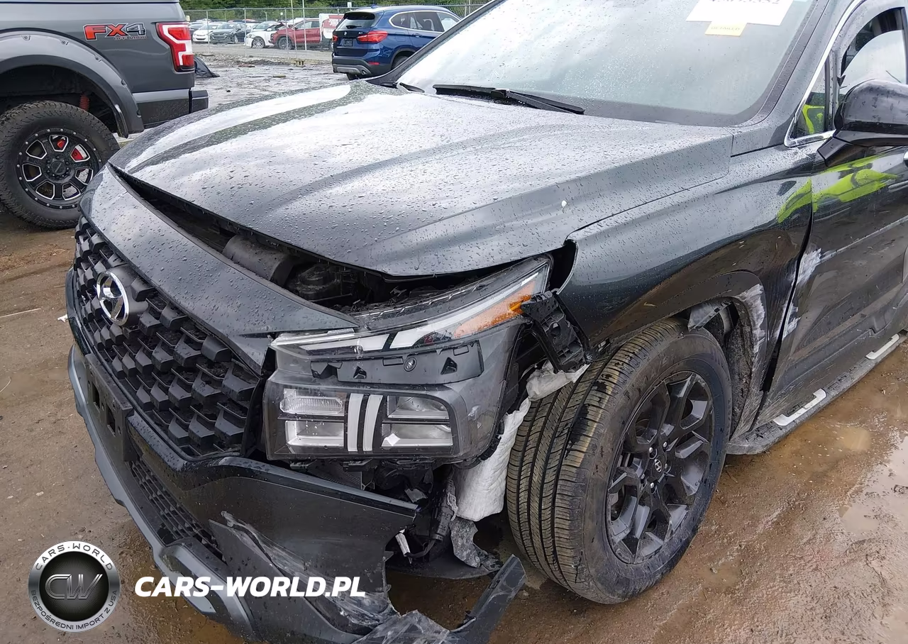 2022 Hyundai Santa Fe Xrt VIN:5NMS6DAJ6NH481045 - 6