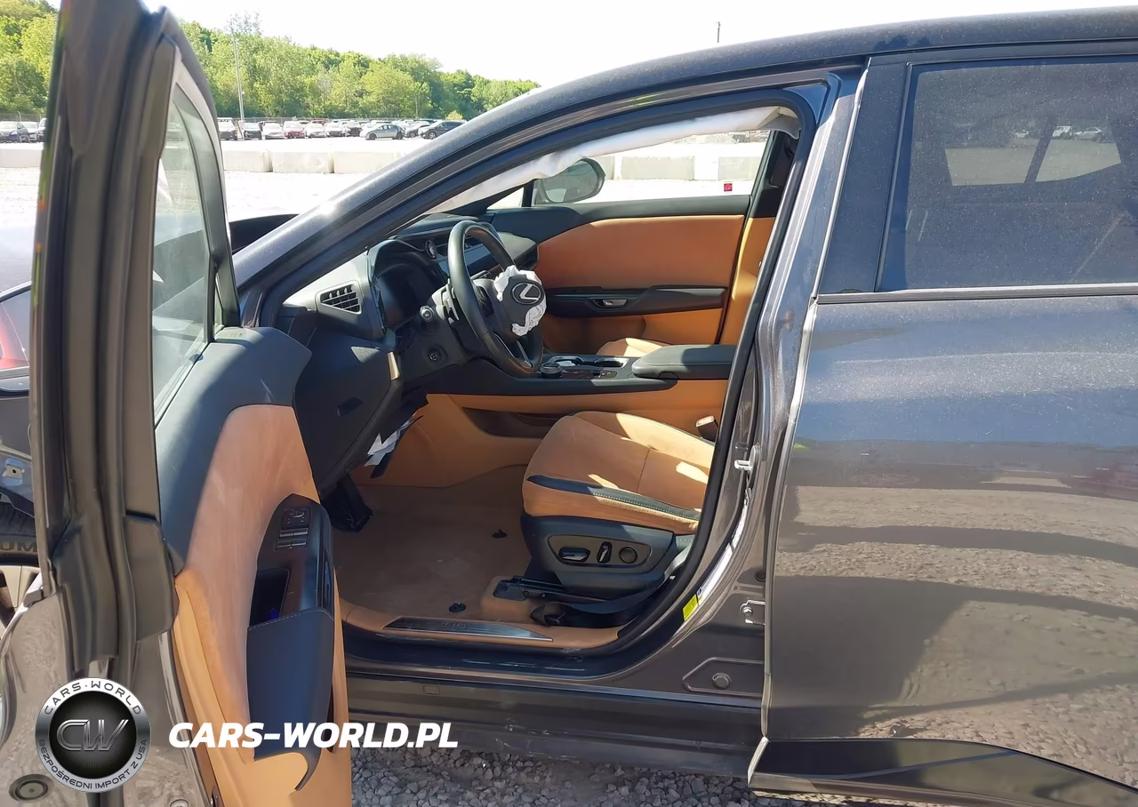 2023 Lexus Rz 450E Luxury VIN:JTJAAAAB3PA016542 - 18