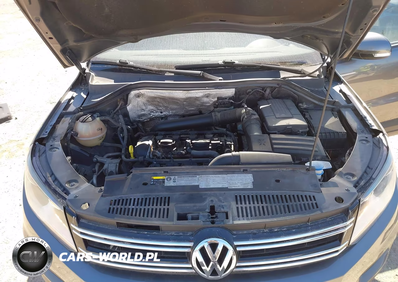 2016 Volkswagen Tiguan S VIN:WVGBV7AX7GW509309 - 10