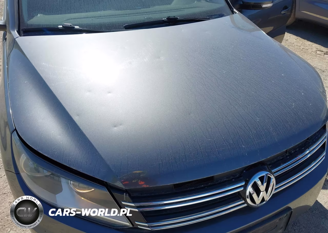 2016 Volkswagen Tiguan S VIN:WVGBV7AX7GW509309 - 13