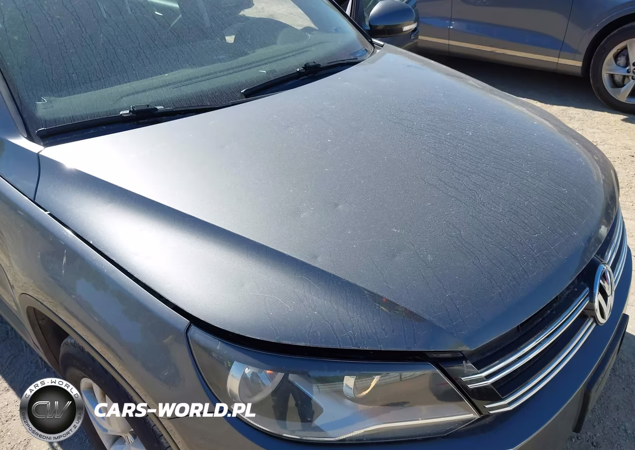2016 Volkswagen Tiguan S VIN:WVGBV7AX7GW509309 - 14