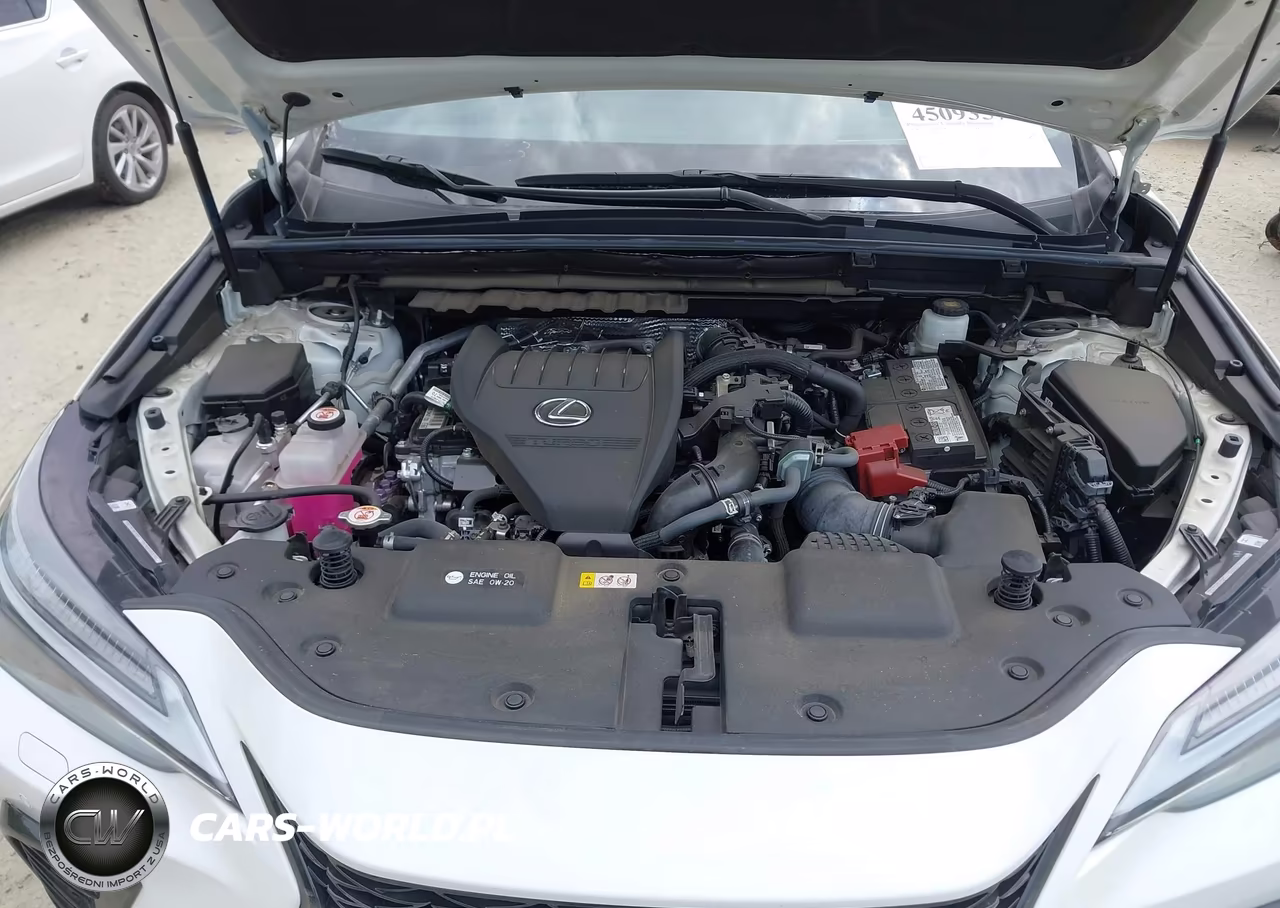 2024 Lexus Nx 350 F Sport Handling VIN:2T2KGCEZ4RC042330 - 10