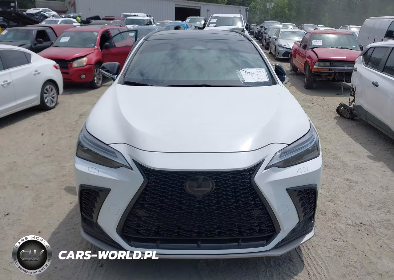 2024 Lexus Nx 350 F Sport Handling VIN:2T2KGCEZ4RC042330 - 12