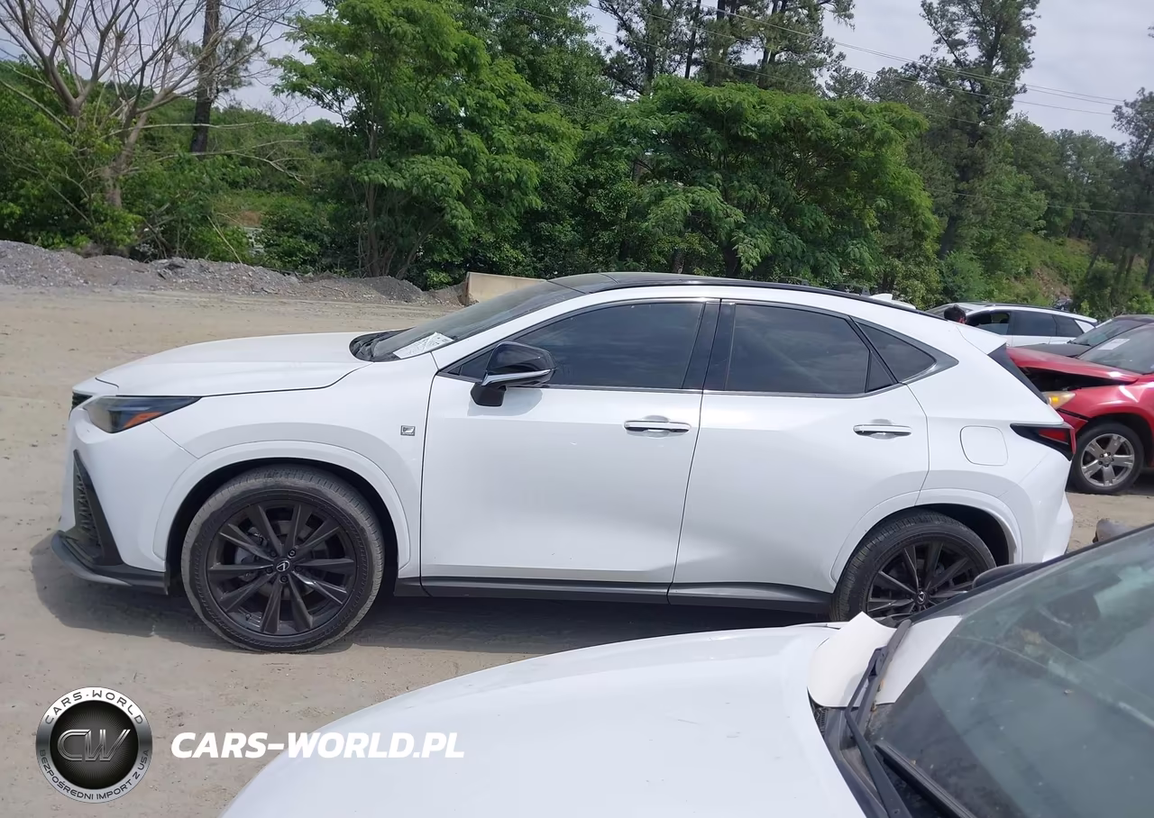 2024 Lexus Nx 350 F Sport Handling VIN:2T2KGCEZ4RC042330 - 14