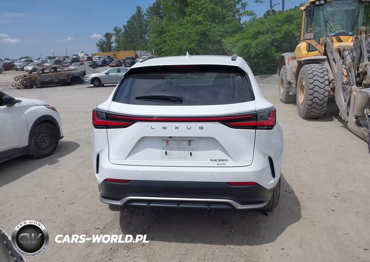 2024 Lexus Nx 350 F Sport Handling VIN:2T2KGCEZ4RC042330 - 16